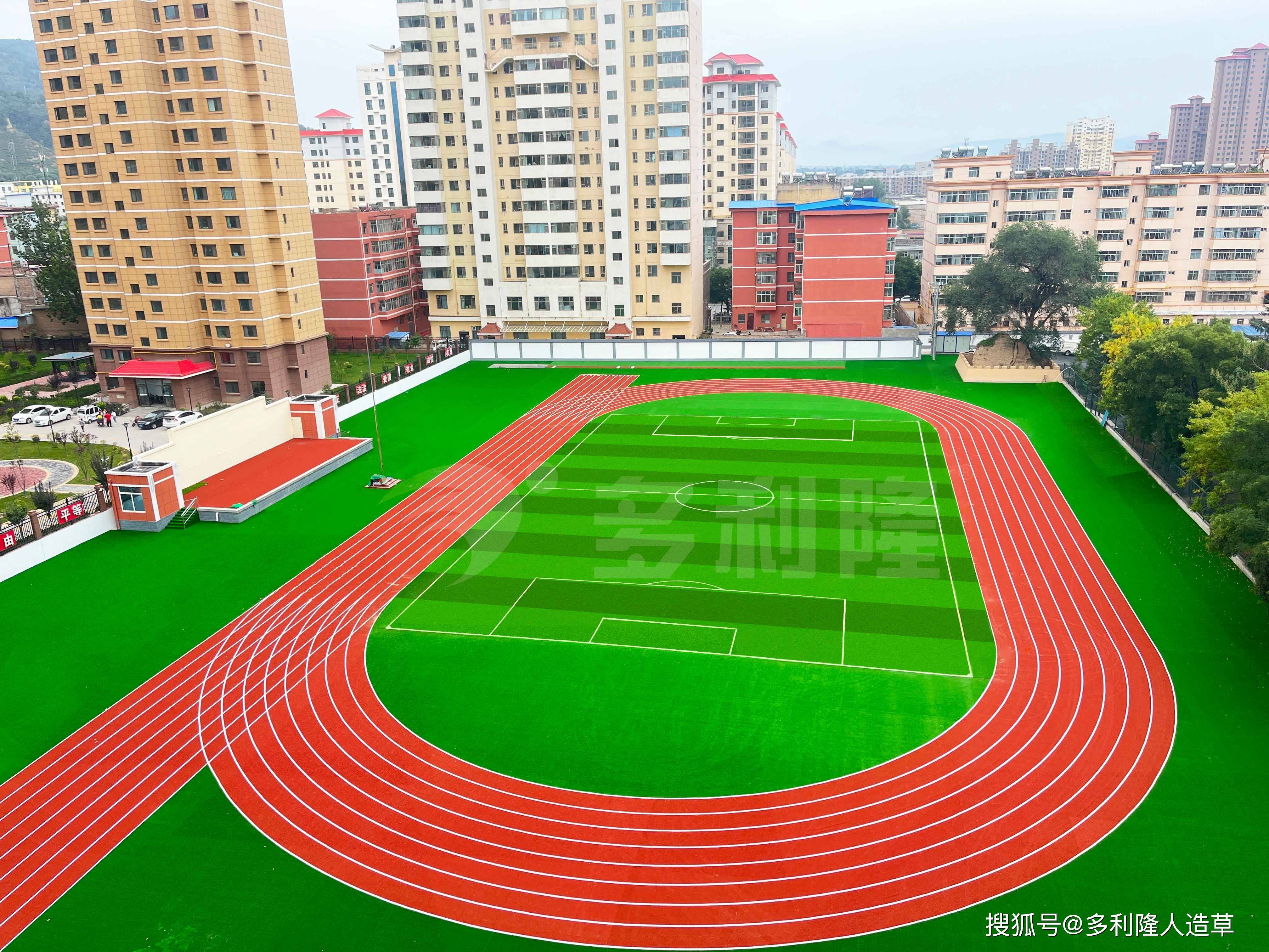 全国足球场地绿化技术应用创新，打造“绿色运动场”的简单介绍