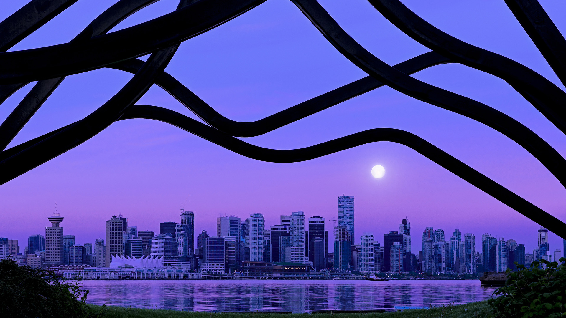 开云体育APP-跳水组合波兰展现团队默契，波兰跳高运动员